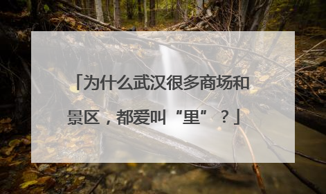 为什么武汉很多商场和景区，都爱叫“里”？