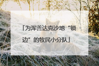 为浑善达克沙地“锁边”的牧民小分队