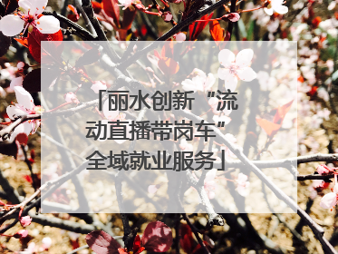 丽水创新“流动直播带岗车”全域就业服务
