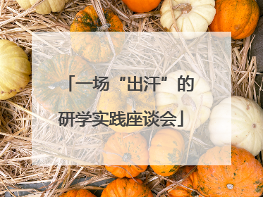 一场“出汗”的研学实践座谈会