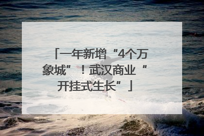 一年新增“4个万象城”！武汉商业“开挂式生长”