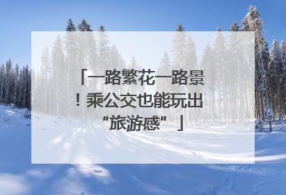 一路繁花一路景！乘公交也能玩出“旅游感”