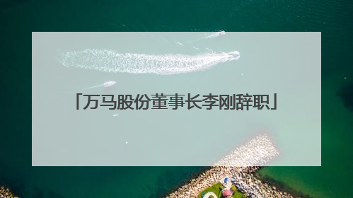 万马股份董事长李刚辞职