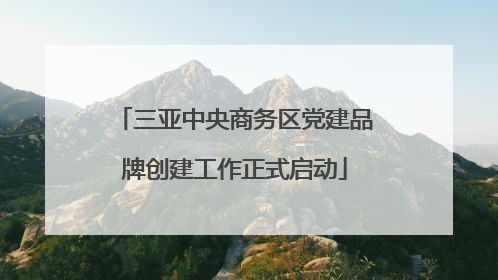 三亚中央商务区党建品牌创建工作正式启动