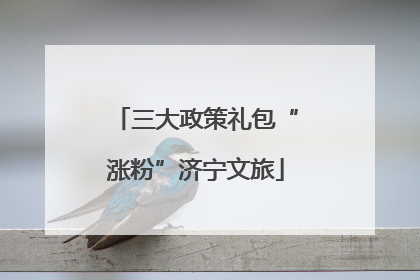 三大政策礼包“涨粉”济宁文旅