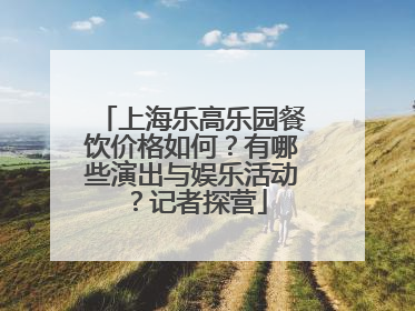 上海乐高乐园餐饮价格如何？有哪些演出与娱乐活动？记者探营