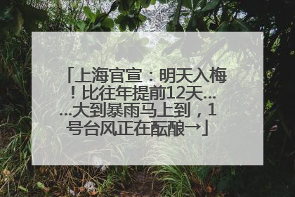 上海官宣：明天入梅！比往年提前12天……大到暴雨马上到，1号台风正在酝酿→