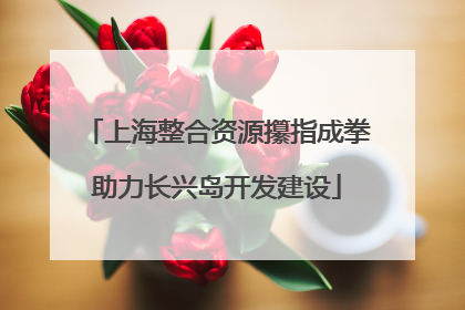 上海整合资源攥指成拳助力长兴岛开发建设