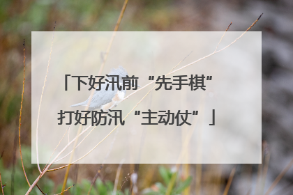 下好汛前“先手棋” 打好防汛“主动仗”