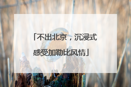 不出北京，沉浸式感受加勒比风情