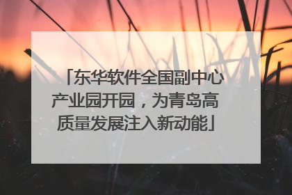 东华软件全国副中心产业园开园，为青岛高质量发展注入新动能