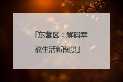 东营区：解码幸福生活新图景
