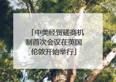 中美经贸磋商机制首次会议在英国伦敦开始举行