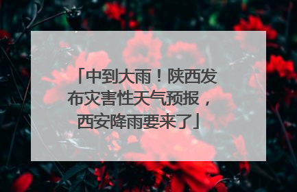 中到大雨！陕西发布灾害性天气预报，西安降雨要来了