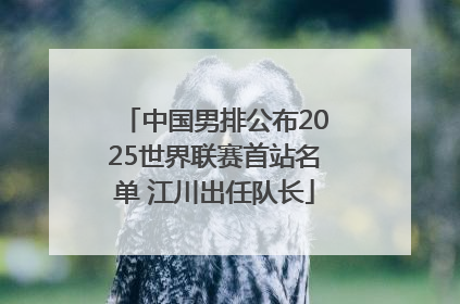 中国男排公布2025世界联赛首站名单 江川出任队长