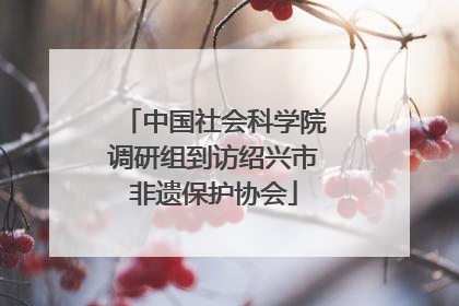 中国社会科学院调研组到访绍兴市非遗保护协会