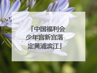 中国福利会少年宫新宫落定黄浦滨江