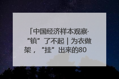 中国经济样本观察·“镇”了不起｜为衣做架，“挂”出来的80亿元“衣架产业”