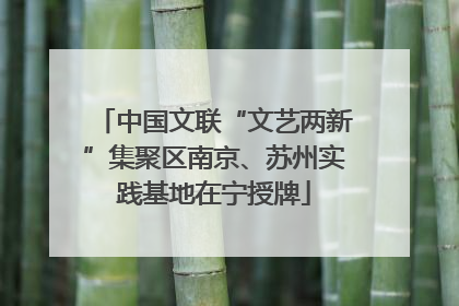 中国文联“文艺两新”集聚区南京、苏州实践基地在宁授牌