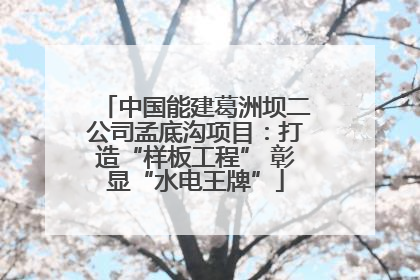 中国能建葛洲坝二公司孟底沟项目：打造“样板工程” 彰显“水电王牌”