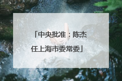 中央批准：陈杰任上海市委常委