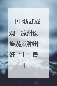 中新武威观｜凉州设施蔬菜种出好“丰”景