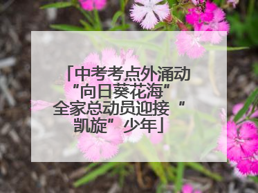 中考考点外涌动“向日葵花海” 全家总动员迎接“凯旋”少年