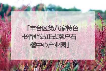 丰台区第八家特色书香驿站正式落户石榴中心产业园