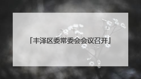 丰泽区委常委会会议召开