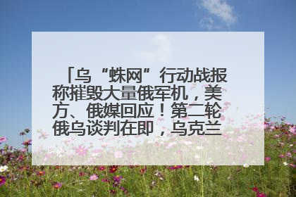 乌“蛛网”行动战报称摧毁大量俄军机，美方、俄媒回应！第二轮俄乌谈判在即，乌克兰提出三大诉求