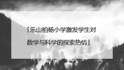 乐山柏杨小学激发学生对数学与科学的探索热情