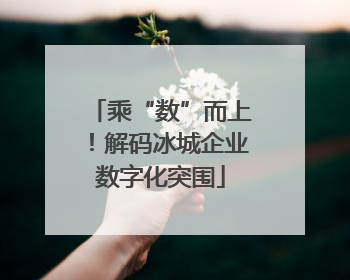乘“数”而上！解码冰城企业数字化突围
