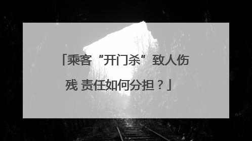 乘客“开门杀”致人伤残 责任如何分担？
