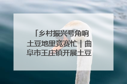 乡村振兴号角响 土豆地里竞赛忙｜曲阜市王庄镇开展土豆收获劳动竞赛