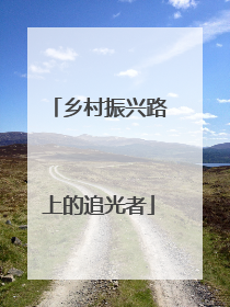 乡村振兴路上的追光者
