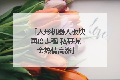 人形机器人板块再度走强 私募掘金热情高涨