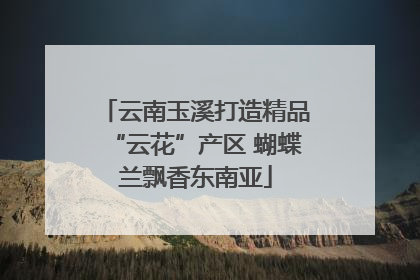 云南玉溪打造精品“云花”产区 蝴蝶兰飘香东南亚