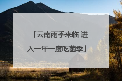 云南雨季来临 进入一年一度吃菌季