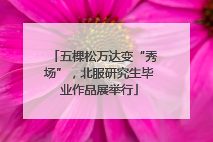 五棵松万达变“秀场”，北服研究生毕业作品展举行