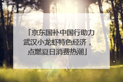 京东国补中国行助力武汉小龙虾特色经济，点燃夏日消费热潮