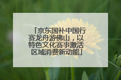 京东国补中国行赛龙舟游佛山，以特色文化赛事激活区域消费新动能