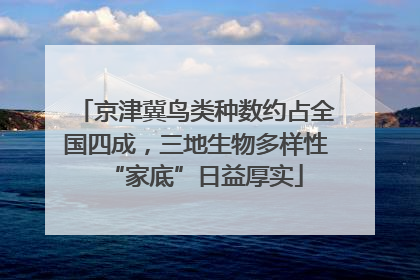 京津冀鸟类种数约占全国四成，三地生物多样性“家底”日益厚实