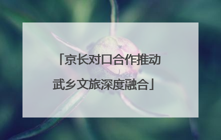 京长对口合作推动武乡文旅深度融合