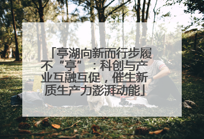亭湖向新而行步履不“亭”：科创与产业互融互促，催生新质生产力澎湃动能