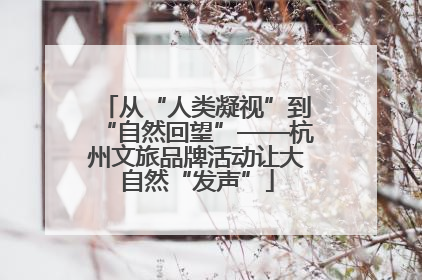 从“人类凝视”到“自然回望”——杭州文旅品牌活动让大自然“发声”