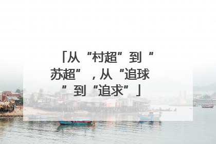 从“村超”到“苏超”，从“追球”到“追求”
