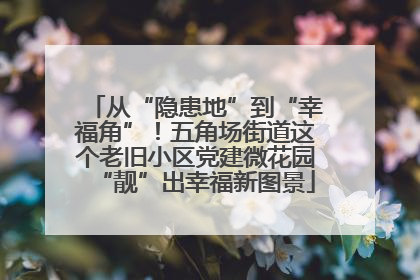从“隐患地”到“幸福角”！五角场街道这个老旧小区党建微花园“靓”出幸福新图景