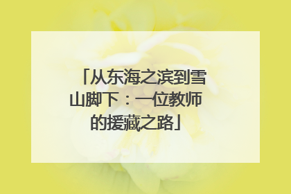 从东海之滨到雪山脚下：一位教师的援藏之路