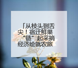 从枝头到舌尖！宿迁鲜果“链”起采摘经济绘就农旅融合新图景