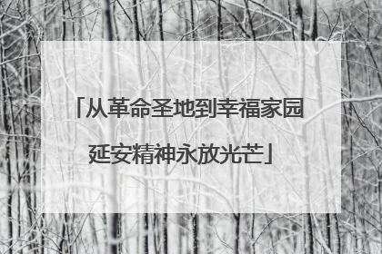 从革命圣地到幸福家园 延安精神永放光芒